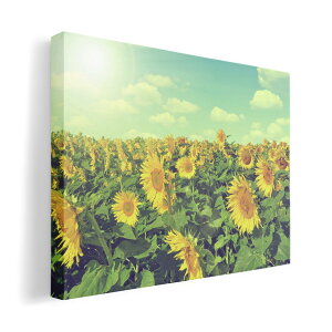 A[gpl G G  IׂTCY 594×841mm A1 _  ʐ^ tHg CeA  011053 ԁ@Ђ܂@