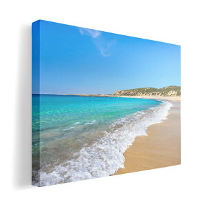 A[gpl G G  IׂTCY 594×841mm A1 _  ʐ^ tHg CeA  011087 C@r[`@ʐ^