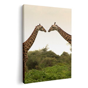 A[gpl G G  IׂTCY 594×841mm A1 _  ʐ^ tHg CeA  011290 @Aj}@