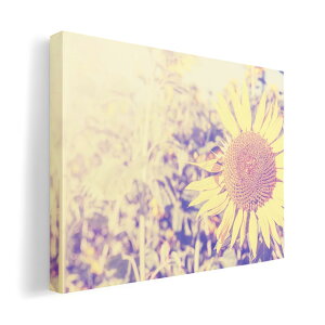 A[gpl G G  IׂTCY 594×841mm A1 _  ʐ^ tHg CeA  011309 ԁ@Ђ܂@ʐ^