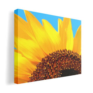 A[gpl G G  IׂTCY 594×841mm A1 _  ʐ^ tHg CeA  011439 ԁ@Ђ܂@ʐ^