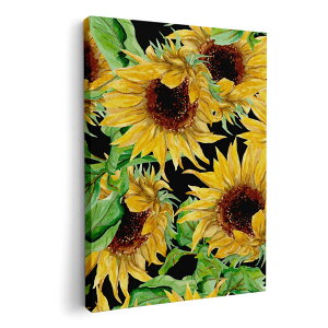 A[gpl G G  IׂTCY 594×841mm A1 _  ʐ^ tHg CeA  012128 Ђ܂@ԁ@A