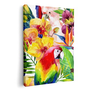 A[gpl G G  IׂTCY 594×841mm A1 _  ʐ^ tHg CeA  012543 @Jt@썑