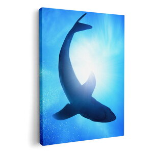 A[gpl G G  IׂTCY 594×841mm A1 _  ʐ^ tHg CeA  012652 @@C