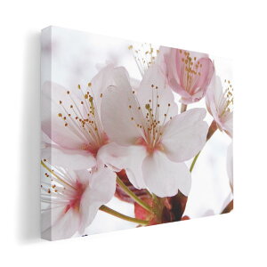 A[gpl G G  IׂTCY 594×841mm A1 _  ʐ^ tHg CeA  012849 @ԁ@t