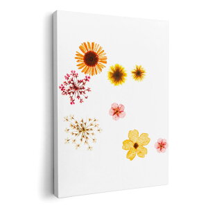 A[gpl G G  IׂTCY 594×841mm A1 _  ʐ^ tHg CeA  013427 ԁ@ԕ@F