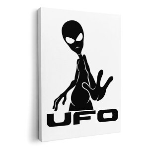 �A�[�g�p�l�� �G �G�� ���� �I�ׂ�T�C�Y 594×841mm A1 ���_�� ���� �ʐ^ �t�H�g �C���e���A ������� 013624 �F���l�@UFO�@�G�C���A��