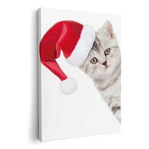 A[gpl G G  IׂTCY 594×841mm A1 _  ʐ^ tHg CeA  013836 NX}X@L@