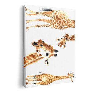 A[gpl G G  IׂTCY 594×841mm A1 _  ʐ^ tHg CeA  014166 @@Aj}