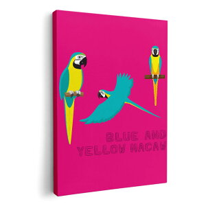 A[gpl G G  IׂTCY 594×841mm A1 _  ʐ^ tHg CeA  014409 @CR@