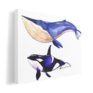 A[gpl G G  IׂTCY 594×841mm A1 _  ʐ^ tHg CeA  014703 C@CJ@NW