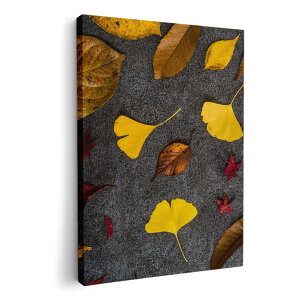 A[gpl G G  IׂTCY 594×841mm A1 _  ʐ^ tHg CeA  014832 tρ@H@t@gt