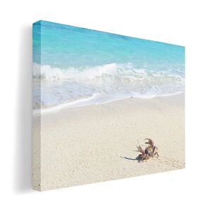A[gpl G G  IׂTCY 594×841mm A1 _  ʐ^ tHg CeA  014963 i@R@wi@C@C
