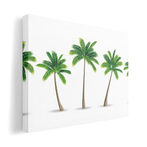 A[gpl G G  IׂTCY 594×841mm A1 _  ʐ^ tHg CeA  015635 ؁@V̖؁@R