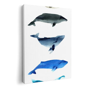 A[gpl G G  IׂTCY 594×841mm A1 _  ʐ^ tHg CeA  015831 @C@@V`