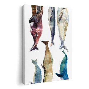 A[gpl G G  IׂTCY 594×841mm A1 _  ʐ^ tHg CeA  015833 @C@@V`