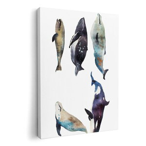 A[gpl G G  IׂTCY 594×841mm A1 _  ʐ^ tHg CeA  015835 @C@@V`