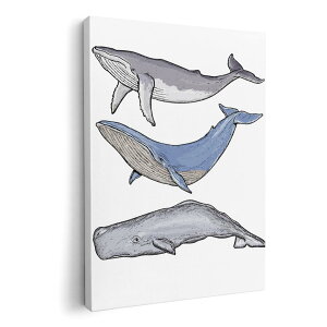 A[gpl G G  IׂTCY 594×841mm A1 _  ʐ^ tHg CeA  015851 @@C