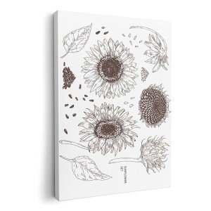 A[gpl G G  IׂTCY 594×841mm A1 _  ʐ^ tHg CeA  016123 Ђ܂@A