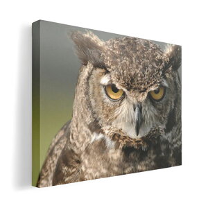 A[gpl G G  IׂTCY 594×841mm A1 _  ʐ^ tHg CeA  016308 tNE@ʐ^