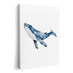 A[gpl G G  IׂTCY 594×841mm A1 _  ʐ^ tHg CeA  017506 @~@C