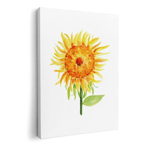 A[gpl G G  IׂTCY 594×841mm A1 _  ʐ^ tHg CeA  017807 Ђ܂@ā@Tt[