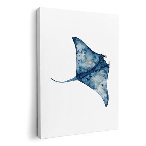 A[gpl G G  IׂTCY 594×841mm A1 _  ʐ^ tHg CeA  017847 Underwater@}^@GC@C̒