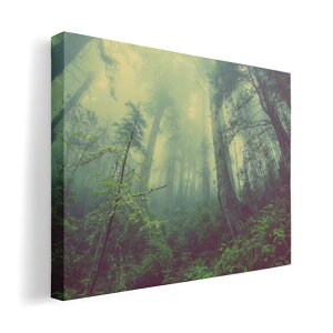 A[gpl G G  IׂTCY 594×841mm A1 _  ʐ^ tHg CeA  018322 X ʐ^