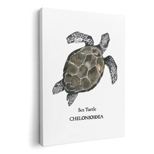 �A�[�g�p�l�� �G �G�� ���� �I�ׂ�T�C�Y 594×841mm A1 ���_�� ���� �ʐ^ �t�H�g �C���e���A ������� 019731 �C�̐��� �C�K�� chelonioidea