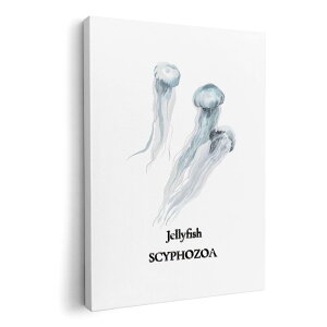 A[gpl G G  IׂTCY 594×841mm A1 _  ʐ^ tHg CeA  019738 C̐ NQ jellyfish