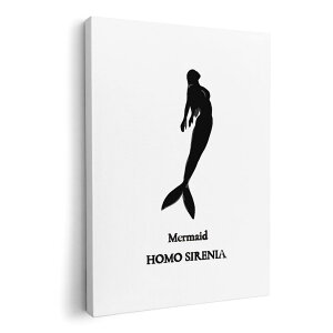 A[gpl G G  IׂTCY 594×841mm A1 _  ʐ^ tHg CeA  019739 C̐ l Mermaid