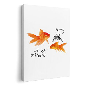 A[gpl G G  IׂTCY 594×841mm A1 _  ʐ^ tHg CeA  019751  Goldfish 