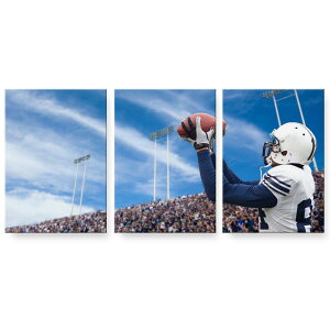 A[gpl G G  IׂTCY 594×841mm A1 3Zbg Zbg _  ʐ^ tHg CeA  000031 Or[@X|[c@ʐ^