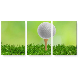 A[gpl 3A 3Zbg G G  igsticker 594mmx420mm A2 tHg Ǌ| ؘg CeA  000218 St@Vbg@Ő