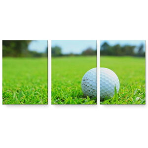 A[gpl G G  IׂTCY 594×841mm A1 3Zbg Zbg _  ʐ^ tHg CeA  000255 St@Ő@X|[c