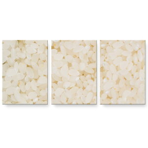 A[gpl G G  IׂTCY 594×841mm A1 3Zbg Zbg _  ʐ^ tHg CeA  000274 ā@ā@Hו