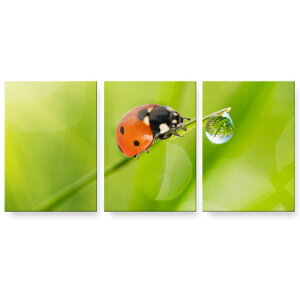 A[gpl 3A 3Zbg G G  igsticker 594mmx420mm A2 tHg Ǌ| ؘg CeA  000820 ĂƂ@