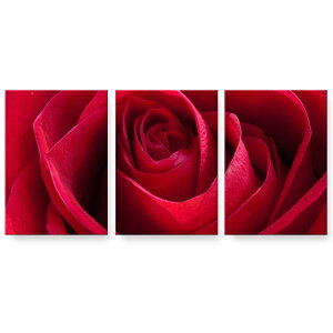 �A�[�g�p�l�� �G �G�� ���� �I�ׂ�T�C�Y 594×841mm A1 3���Z�b�g �Z�b�g�� ���_�� ���� �ʐ^ �t�H�g �C���e���A ������� 000825 �K�N�@��