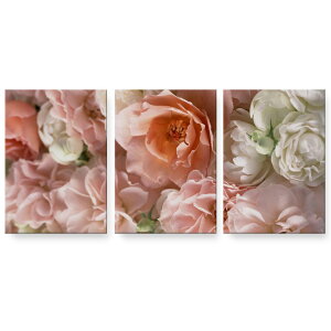 アートパネル 3連 3枚セット 絵 絵画 飾り igsticker 594mmx420mm A2 フォト 壁掛け 木枠 インテリア おしゃれ 000851 バラ 花 花柄