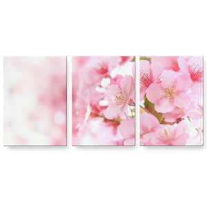 A[gpl 3A 3Zbg G G  igsticker 594mmx420mm A2 tHg Ǌ| ؘg CeA  000886 