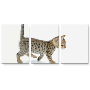 �A�[�g�p�l�� 3�A 3���Z�b�g �G �G�� ���� igsticker 594mmx420mm A2 �t�H�g �Ǌ|�� �ؘg �C���e���A ������� 000915 �l�R�@�q�L