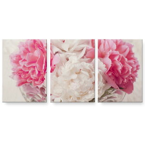 A[gpl G G  IׂTCY 594×841mm A1 3Zbg Zbg _  ʐ^ tHg CeA  000997 ԁ@ԑ