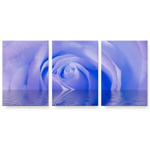 A[gpl G G  IׂTCY 594×841mm A1 3Zbg Zbg _  ʐ^ tHg CeA  001018 KN@C