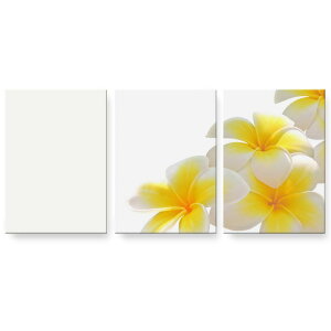 アートパネル 3連 3枚セット 絵 絵画 飾り igsticker 594mmx420mm A2 フォト 壁掛け 木枠 インテリア おしゃれ 001027 花 プルメリア