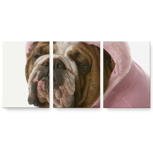 A[gpl 3A 3Zbg G G  igsticker 594mmx420mm A2 tHg Ǌ| ؘg CeA  001083 @