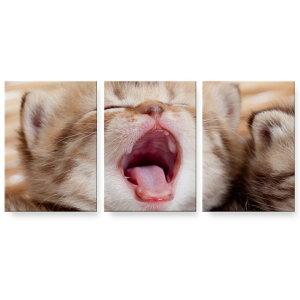 �A�[�g�p�l�� 3�A 3���Z�b�g �G �G�� ���� igsticker 594mmx420mm A2 �t�H�g �Ǌ|�� �ؘg �C���e���A ������� 001173 �l�R�@����