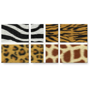 A[gpl G G  IׂTCY 594×841mm A1 3Zbg Zbg _  ʐ^ tHg CeA  001241 Aj}@Ip[h@[u