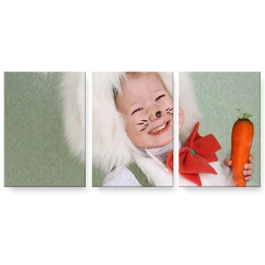 A[gpl 3A 3Zbg G G  igsticker 594mmx420mm A2 tHg Ǌ| ؘg CeA  001247 @q