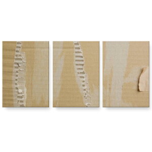 A[gpl G G  IׂTCY 594×841mm A1 3Zbg Zbg _  ʐ^ tHg CeA  001557 i{[