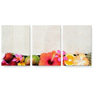 アートパネル 絵 絵画 飾り 選べるサイズ 594×841mm A1 3枚セット セット物 モダン 玄関 写真 フォト インテリア おしゃれ 001637 ハイビスカス 南国